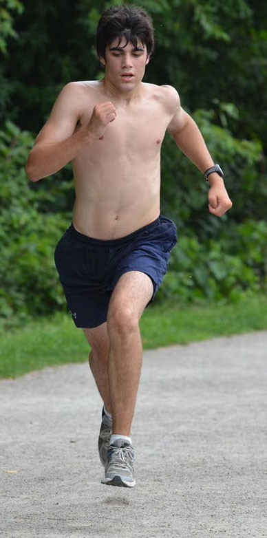 von staats, emerging elites